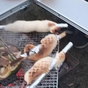 たき火でパンを焼く